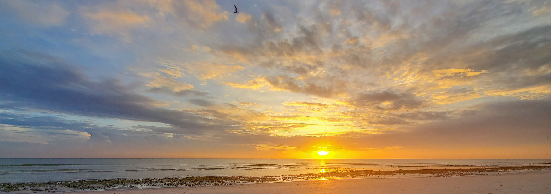 Postpartum Renewal Florida Neurofeedback